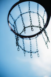 开云集团中国官网-中国篮球教练员团队合作能力培养及影响因素分析,篮球教练组成员