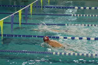 开云体育官方下载-全国游泳冠军赛新星频出成绩突破预期,全国游泳冠军赛2021成绩