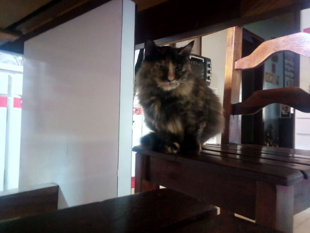 开yun体育-利物浦多点支援进攻形成锋线合力,利物浦战术打法分析