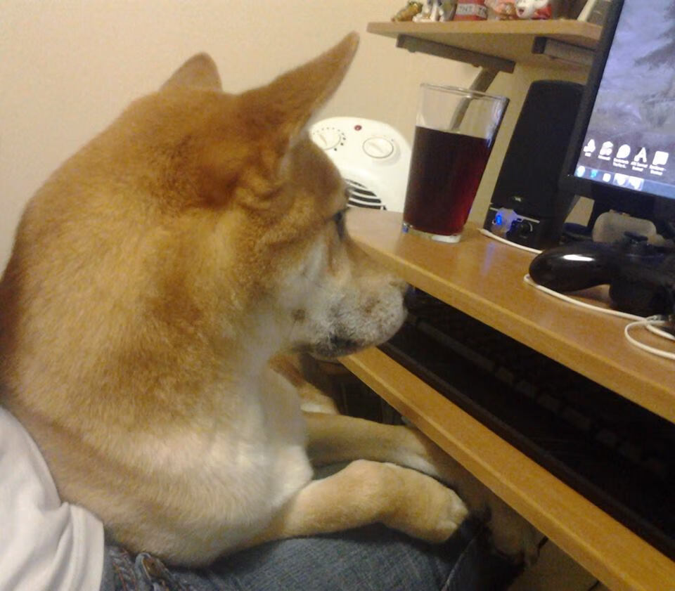 开云娱乐-李娜组织公益网球训练营覆盖多地,李娜网球训练视频