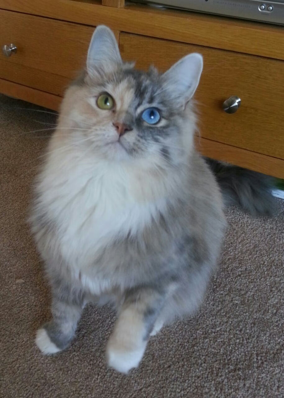 开云娱乐-李娜组织公益网球训练营覆盖多地,李娜网球训练视频