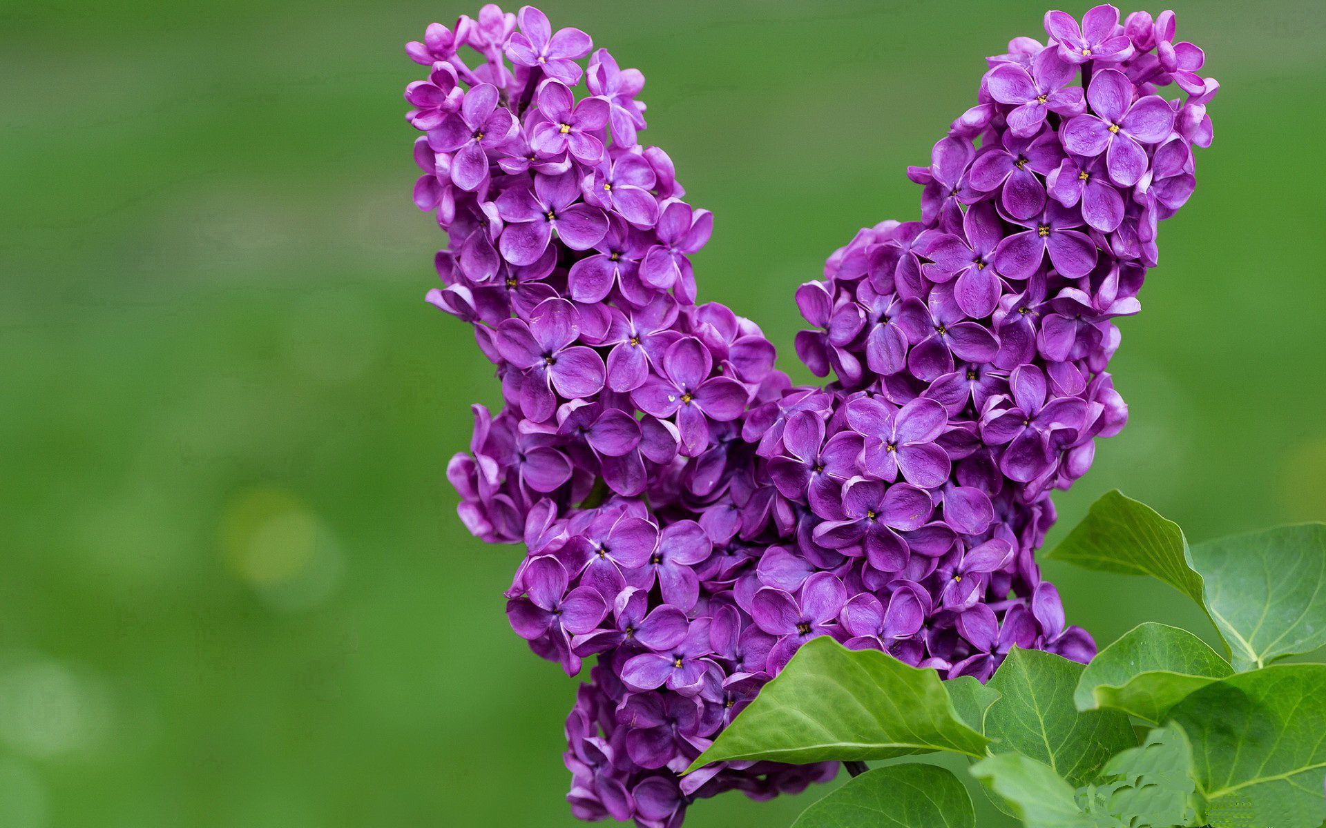 kaiyun-球队与高校展开合作推动体育人才双通道培养计划落地实施，双主体育人人才培养模式